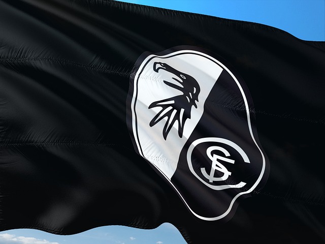 Flagge SC Freiburg