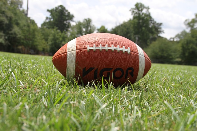 GFL, Canes empfangen Monarchs