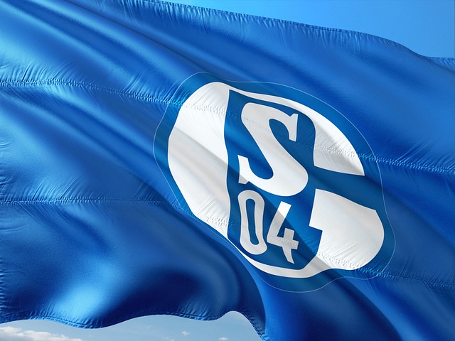 Schalke 04 – KSV Holstein 0:1 (0:1)