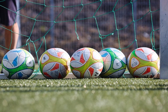 KSV, Öffentliches Training KW 3