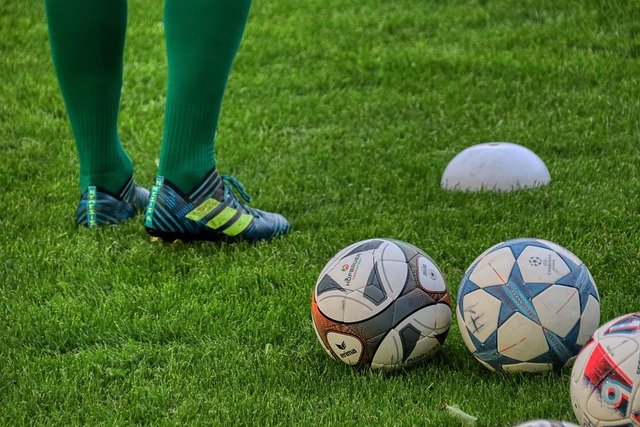 KSV, Öffentliches Training KW 4